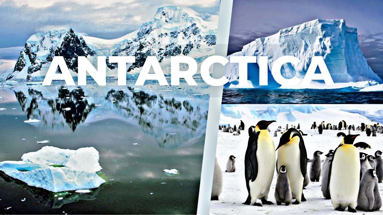 Best Of Antarctica Tour | The Floating White Continent |