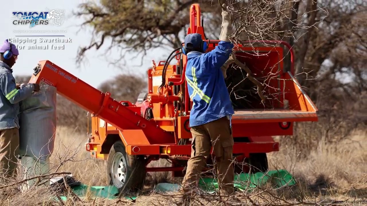 Chipping Swarthaak bush in the Kalahari for animal feed with a TOMCAT M150AFE Screen wood chipper