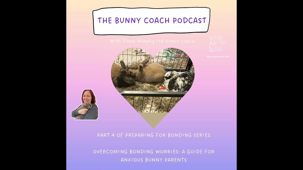 #29 - PART FOUR OF PREPARING FOR BONDING SERIES - OVERCOMING BONDING WORRIES: A GUIDE FOR ANXIOUS...