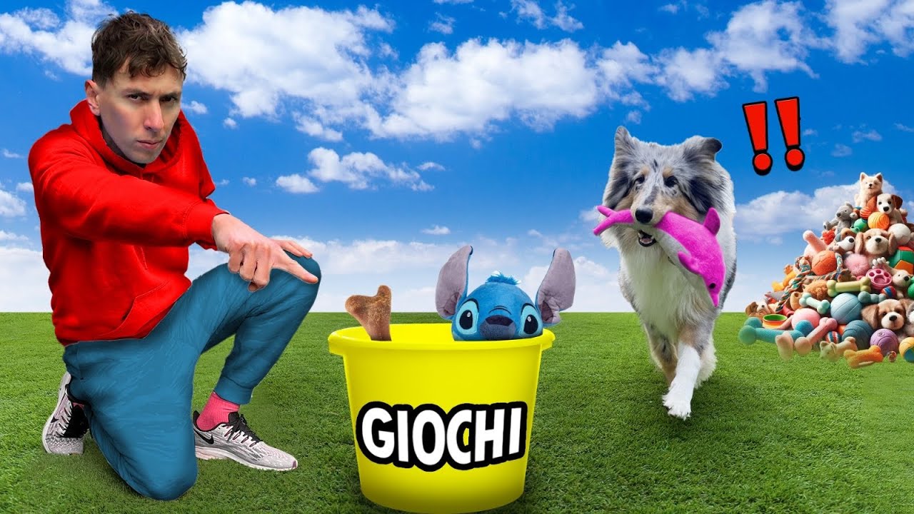 INSEGNO AL MIO CUCCIOLO A METTERE A POSTO I GIOCHI