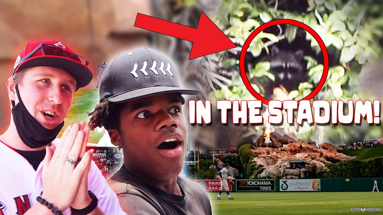 WE'VE NEVER BEEN TO A GAME LIKE THIS! | Kleschka Vlogs