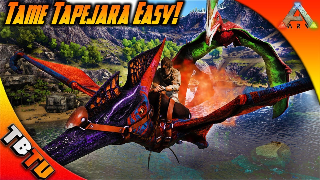 NEW RARE FLOWER BUFF! BEST WAY TO TAME A TAPEJARA PERIOD! Ark Survival Evolved Taming tips