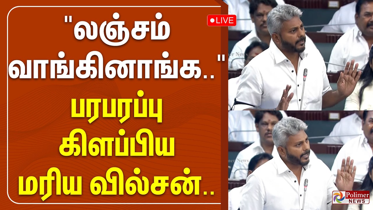 TVK | CM Vijay | DMK | 