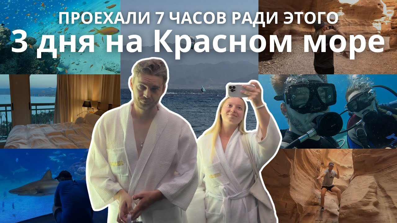 Влог с Красного моря: дайвинг, пустыня и ночная жизнь