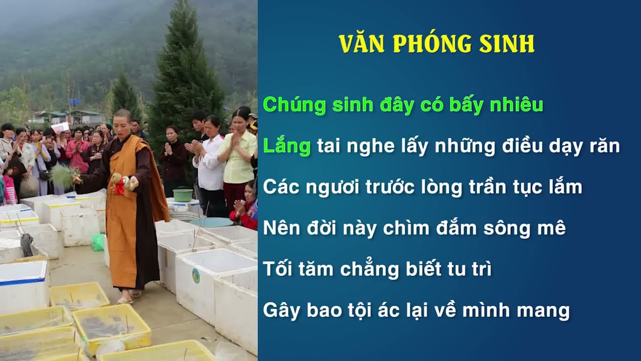 Nghi Thức Ph&oacute;ng Sinh