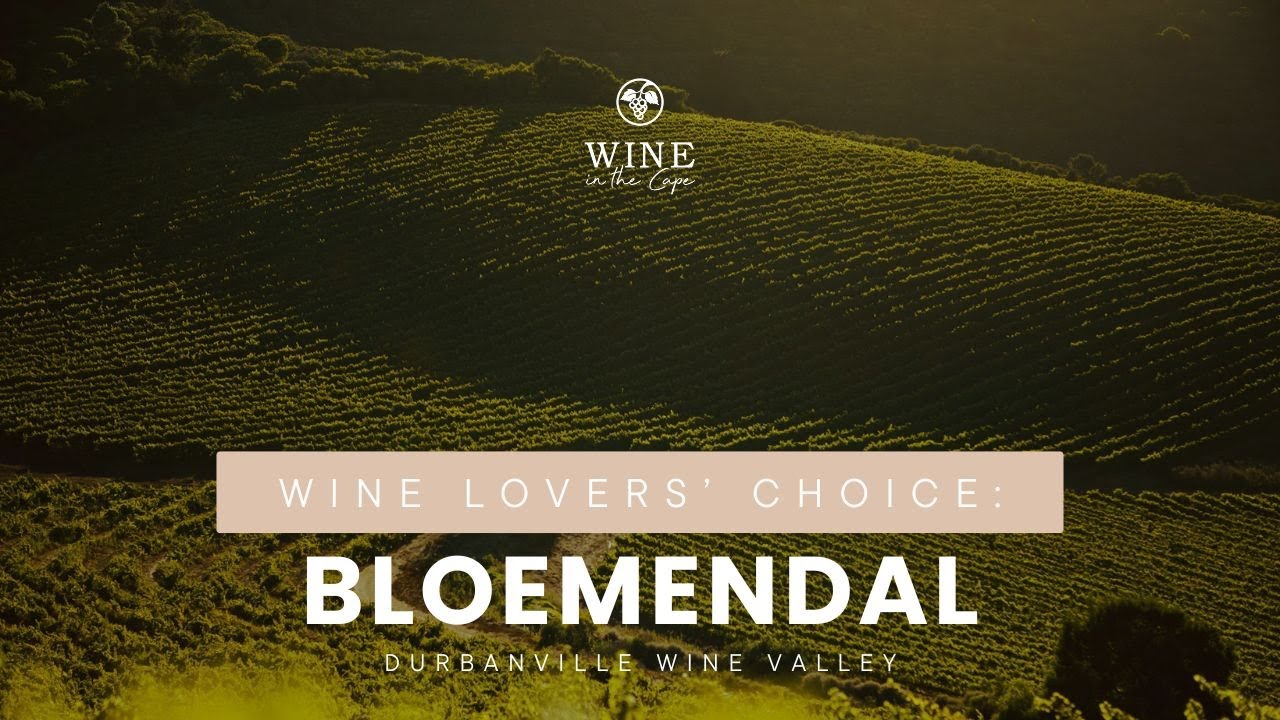 Bloemendal Wine Estate | Experience the Essence of Durbanville