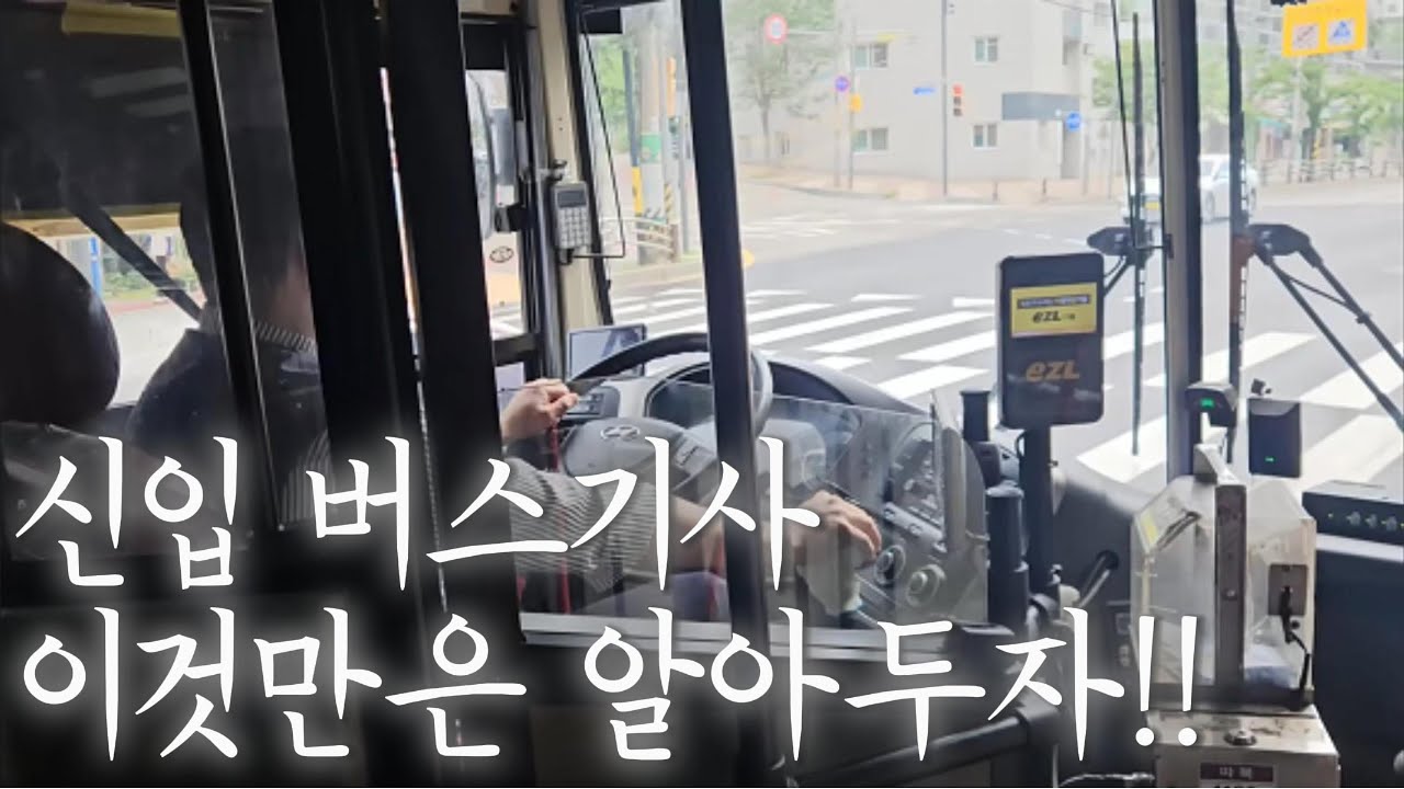 6개월차 버스기사가 생각하는 (찐)신입기사가 알아 두면 좋은 것들!!