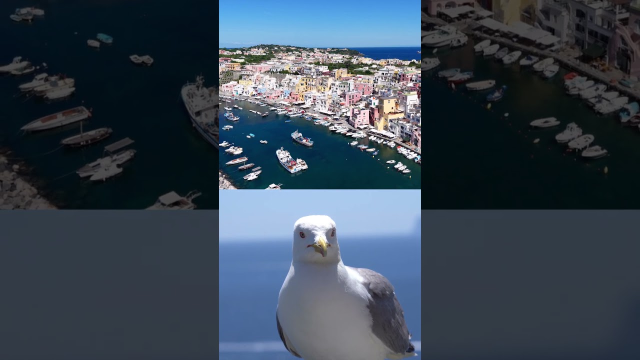 Isola di Procida - Napoli - Campania - Italia  #automobile #travel #ocean #mare #puglia#tutti#viaggi