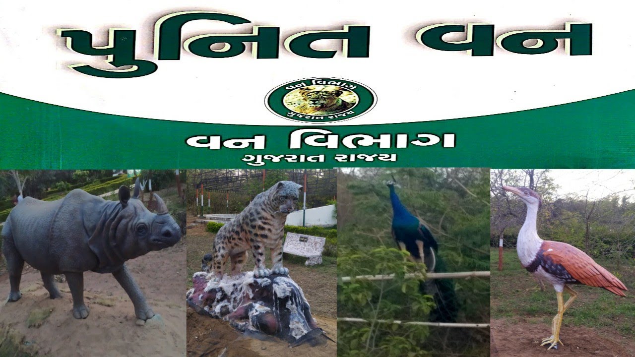 Punit Van | Gandhinagar | પુનીતવન | ગાંધીનગર