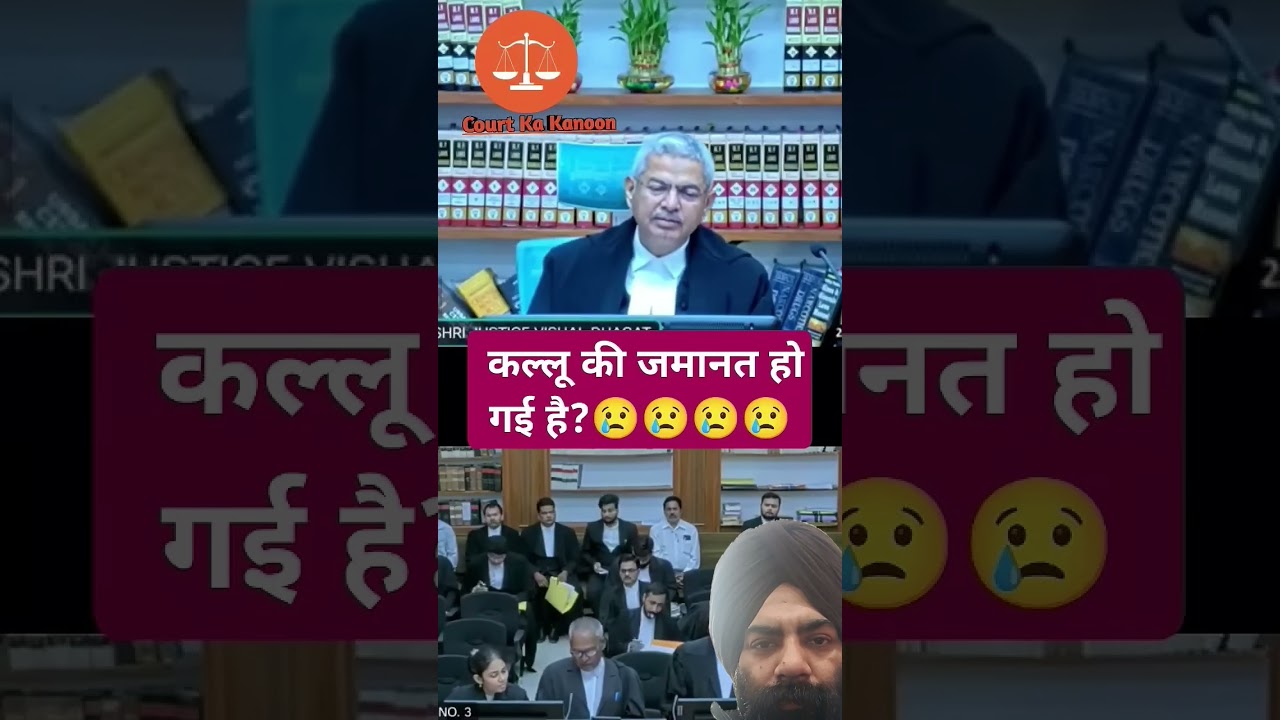 #patnahighcourt #judge #court #lawyer #patnacivilcourt #law #legalproceedings #legal #lowercourt