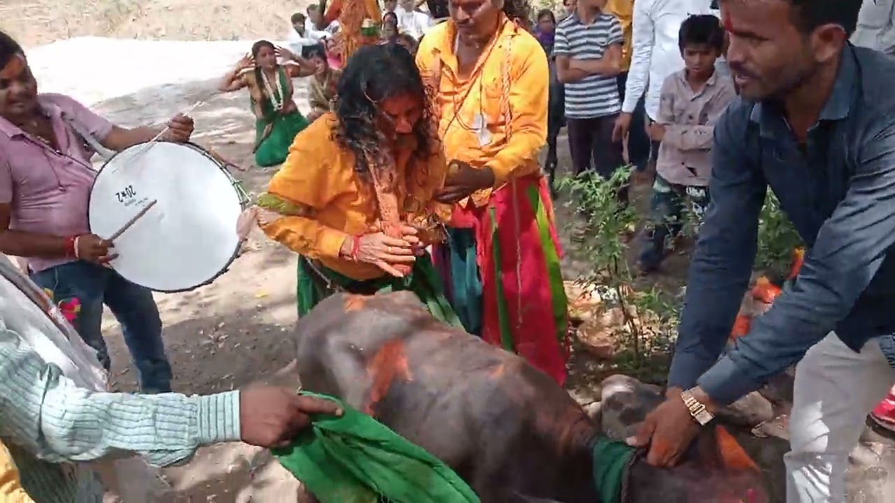 गाव उमराई   आजची सेवा लक्ष्मी आईची धुपारती लाईक शेअर करा व कमेंट मध्ये  सांगा