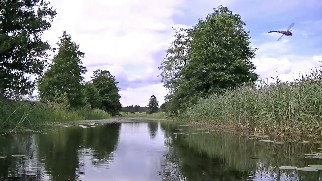 Kayaking Adventure in a Swedish River
