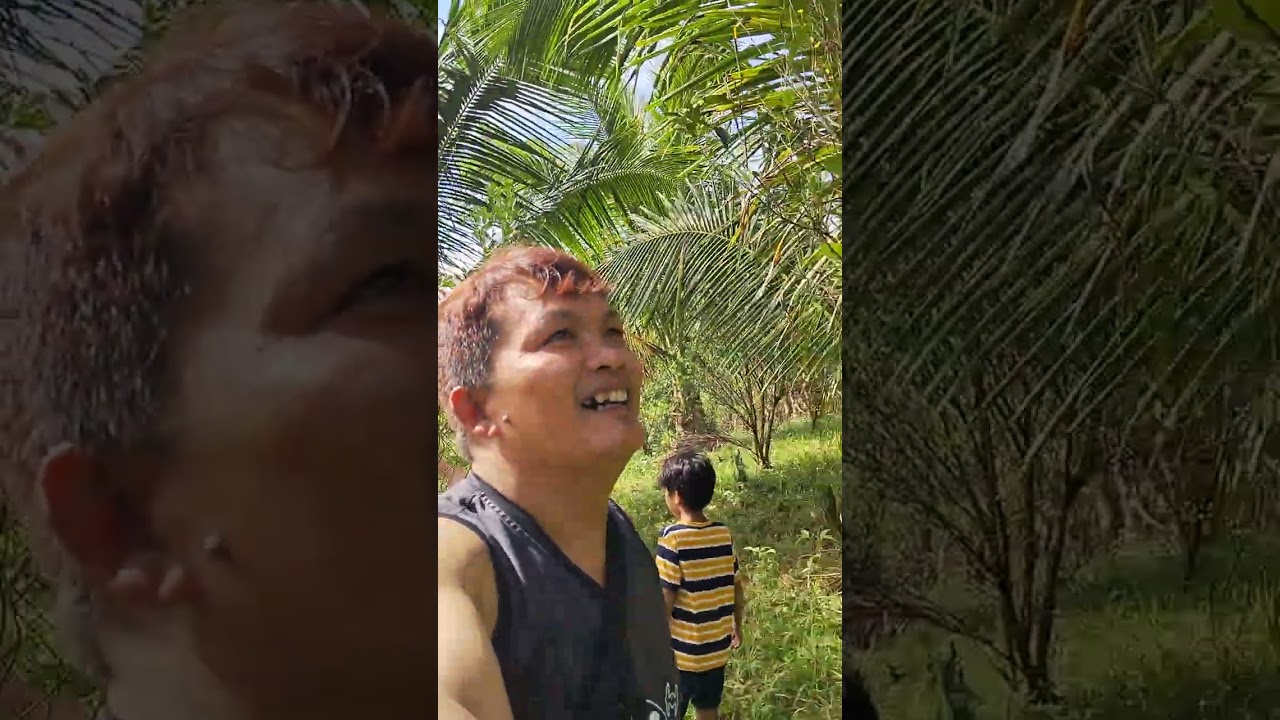 Ma mitas lng po ng kalamansi 