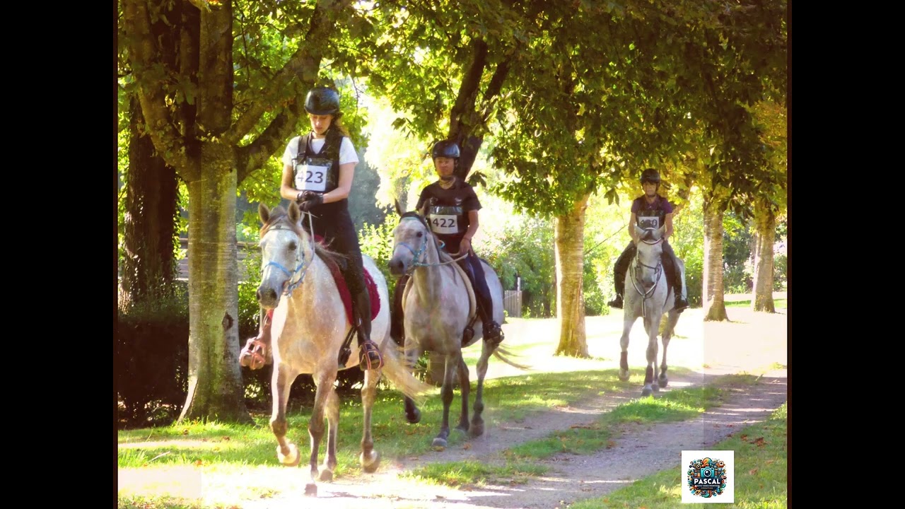 Endurance Equestre Coucy le Château