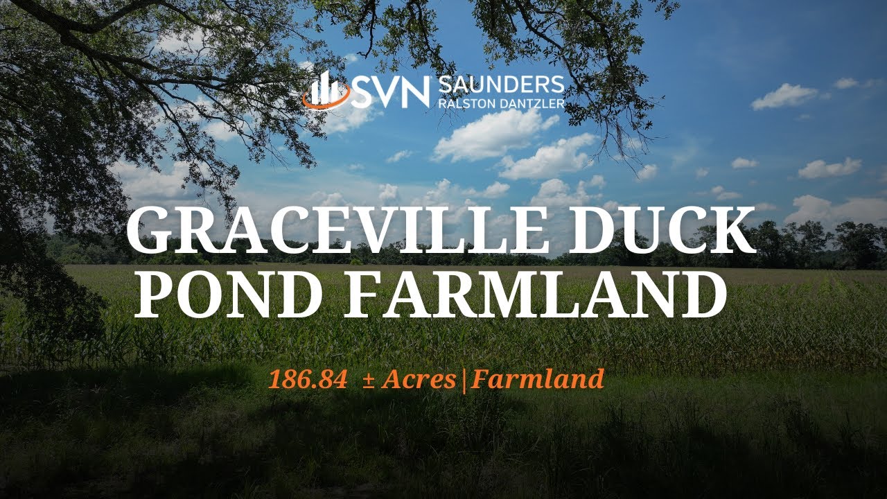Florida Farmland For Sale | Graceville Duck Pond Farmland | 186.84 &plusmn;&nbsp;Acres | Graceville, FL