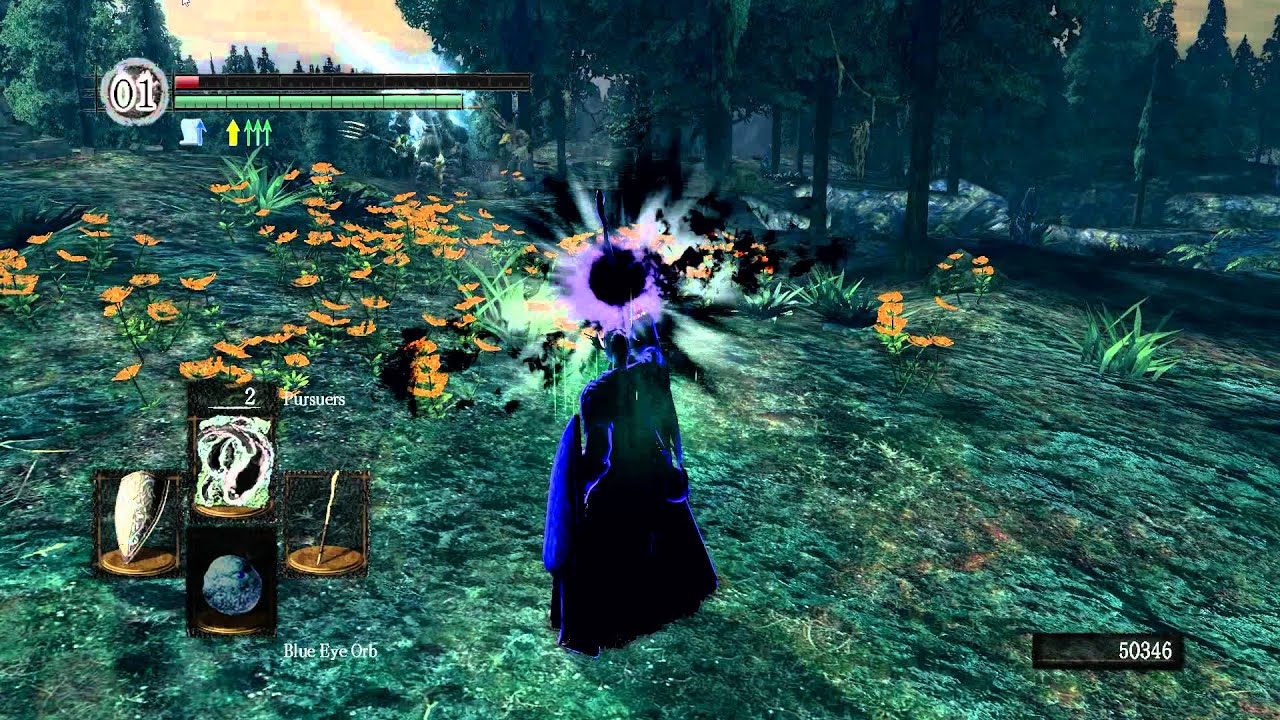 DkS1