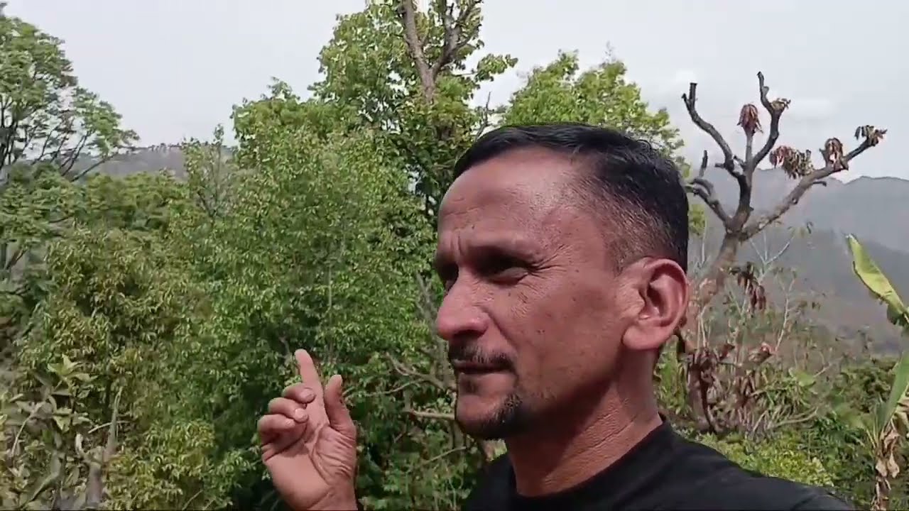 पहाड़ों⛰️ की दिनचर्या 💪// My daily lifestyle 🙂..../ #uttrakhand #vlog #lifestyle #phadilifestyle .