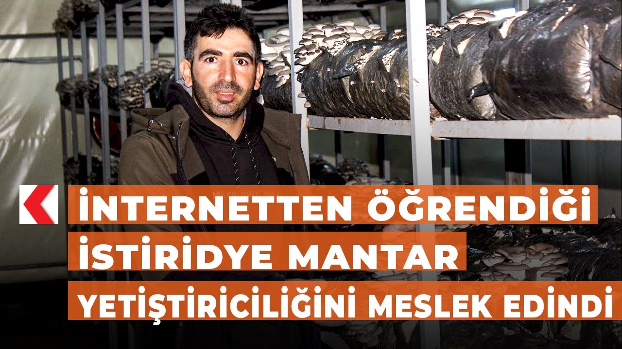 İnternetten öğrendiği istiridye mantar yetiştiriciliğini meslek edindi