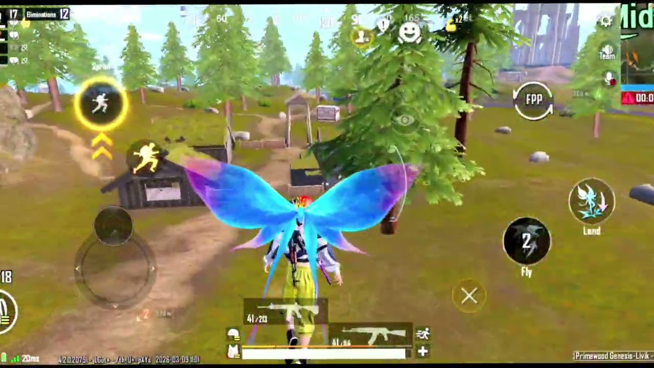 12 kill chicken dinner 