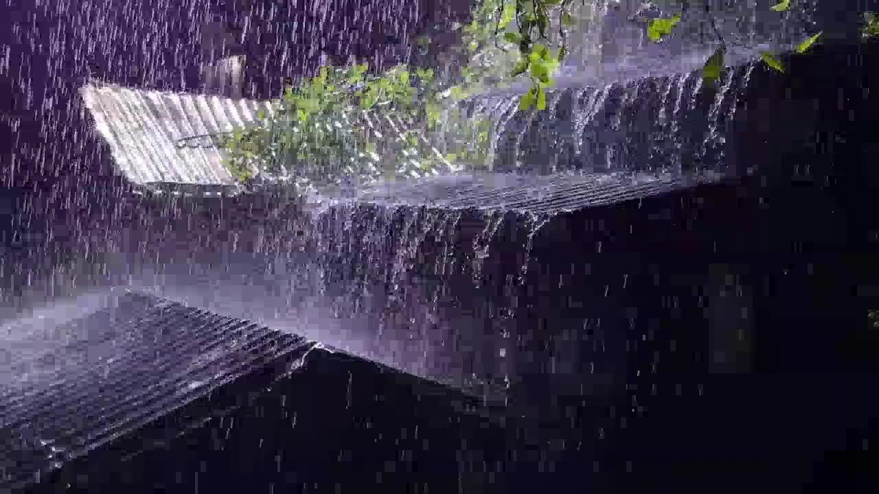 Deep Sleep in 5 Minutes | Rain on Tin Roof Sounds – Cozy Night Ambience