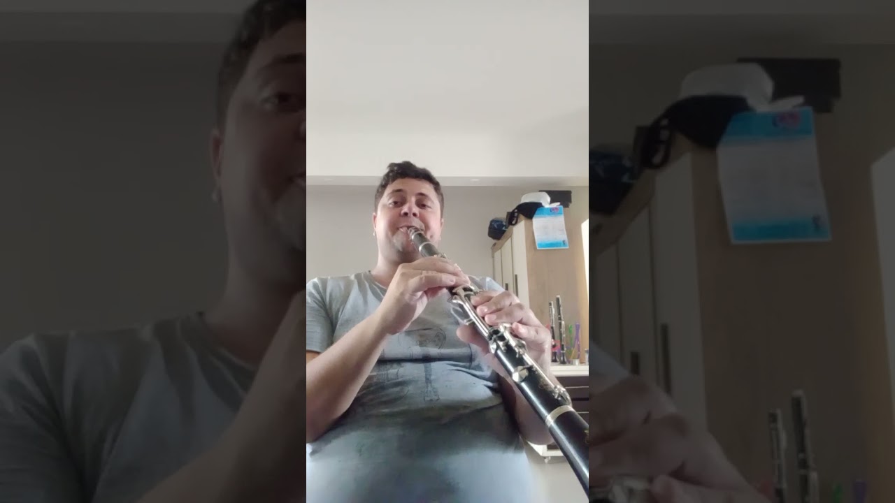 Clarinete Noblet Paris em Madeira de Ébano a Venda na DiskMan Music Store.
