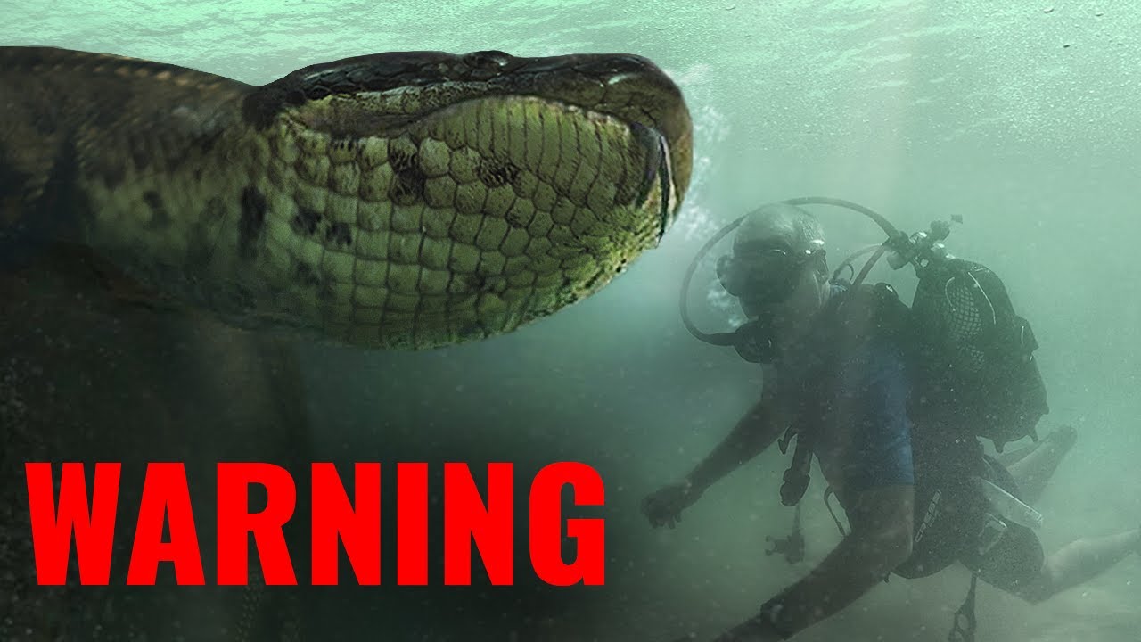 10 Craziest Things Found By Deep Sea Divers!