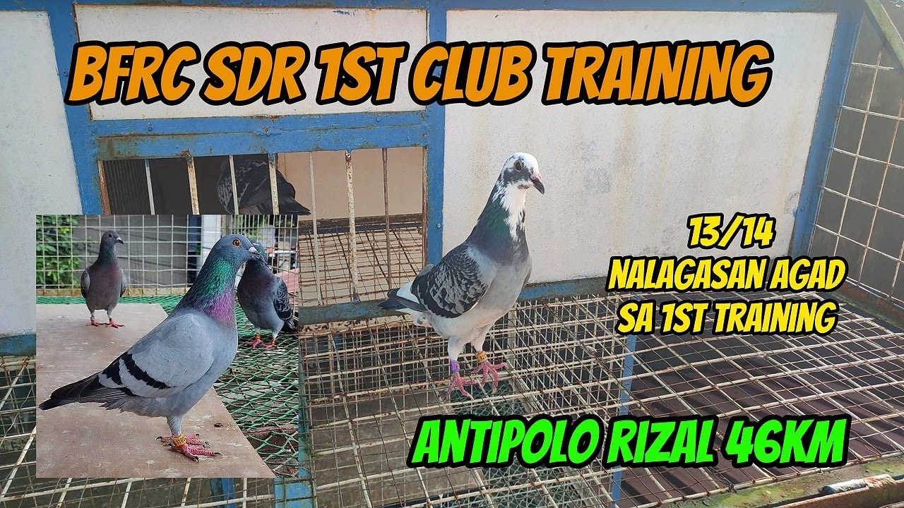 1ST CLUB TRAINING NG MGA PANG SOUTH NATIN NALAGASAN AGAD TAYO NG ISA