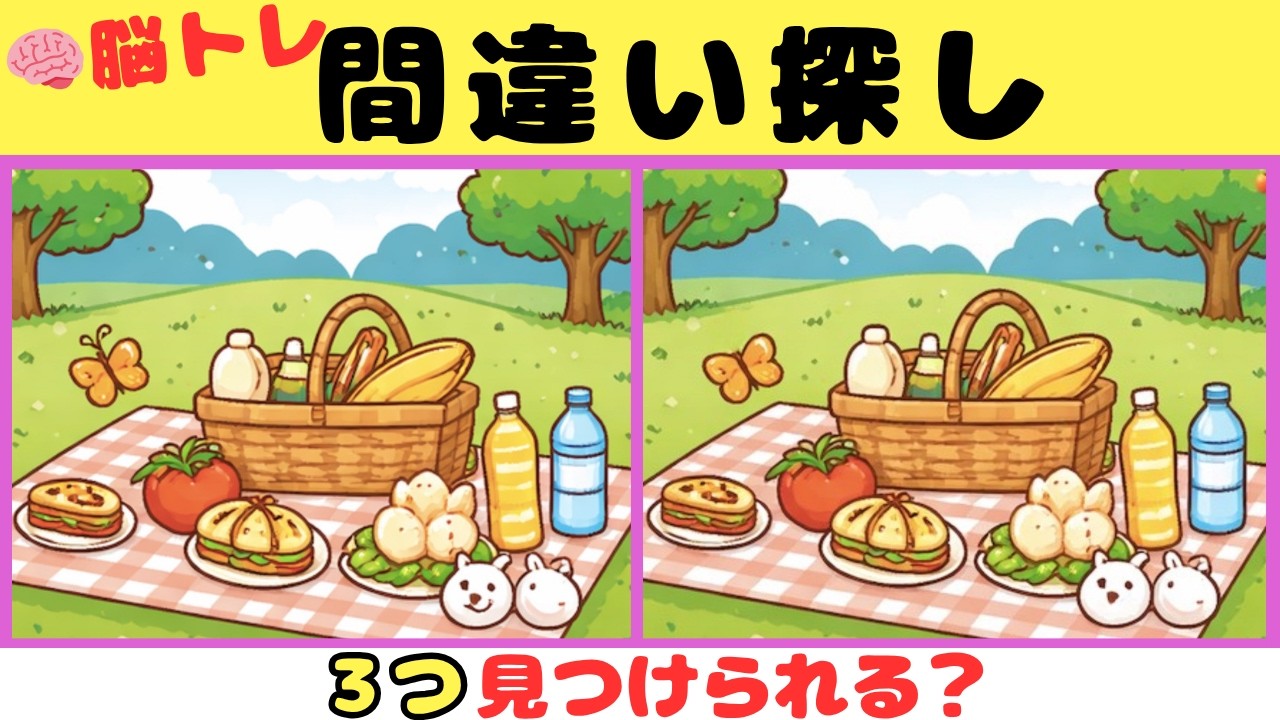 【間違い探しクイズ】難しいけど面白い！３つの間違いを探そう【脳トレ】