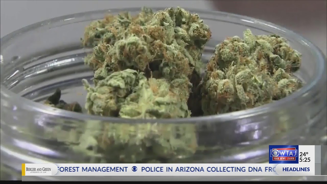 Are medical cannabis users driving 