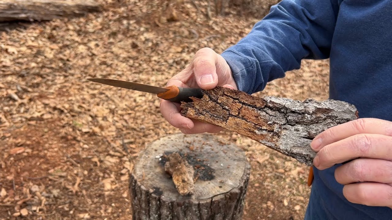 How To Bow Drill Horseweed On Bark