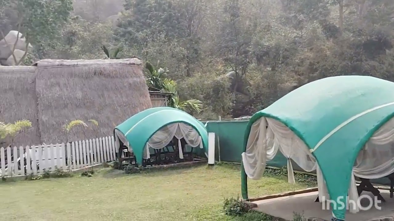 🌿 সনুকা (chanaka), মরিগাঁও –Assam