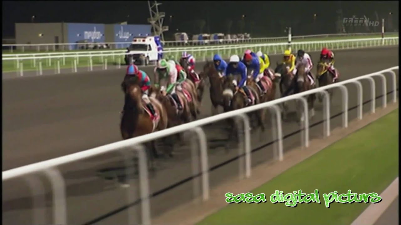 【競馬伝説】2011年ドバイWC ヴィクトワールピサ 奇跡のカメラ目線！日本競馬史を変えた感動の瞬間！トランセンド、ブエナビスタも参戦！