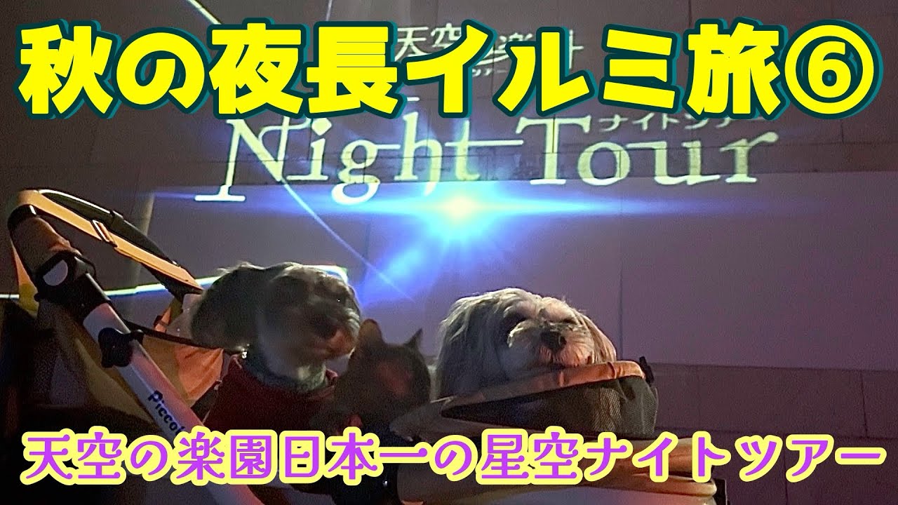 【夜遊びツアー/長野県】犬と猫とわたしの車旅〜草津湯巡りと天空の楽園と月夜平大橋展望台〜