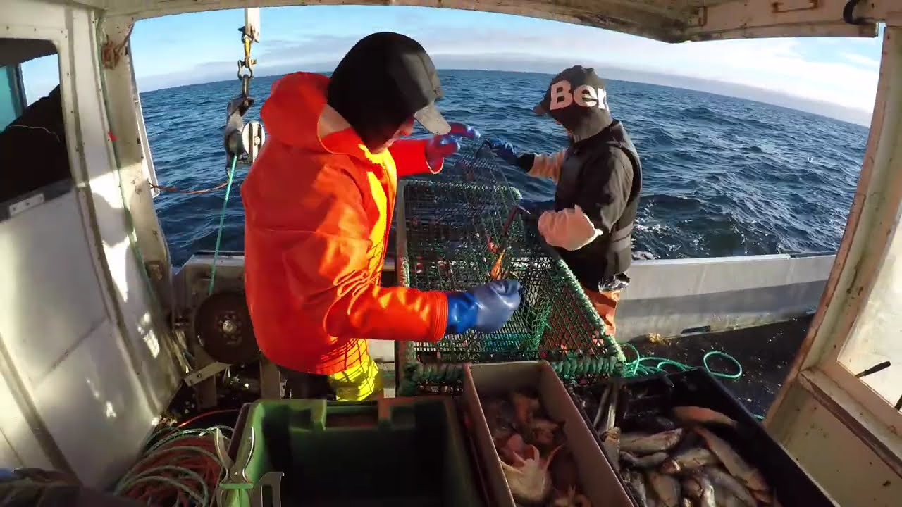 Lobster Fishing, Nova Scotia, Canada #live #dangerousjobs