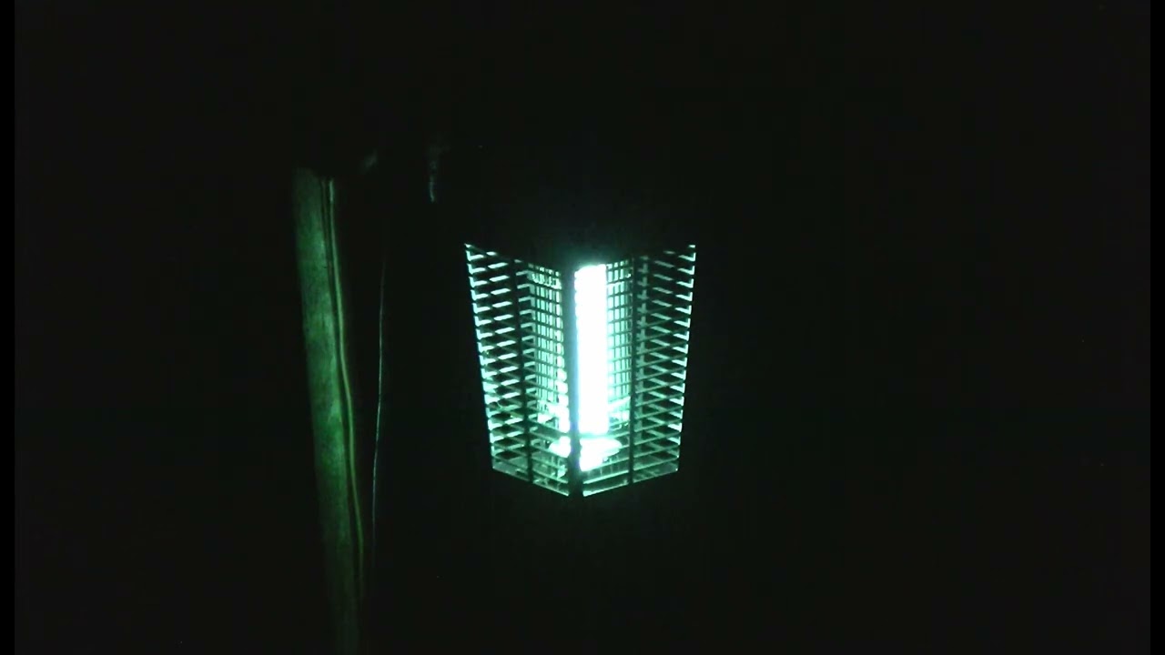 One Hour of Bug Zapper Action for your Viewing Pleasure