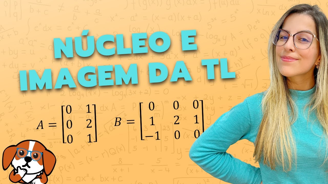 Como encontrar o Kernel e a Imagem a partir da Matriz da TL? | Álgebra Linear