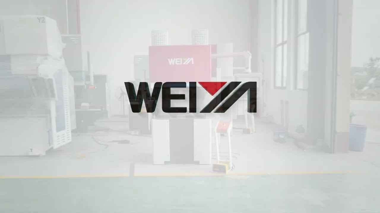 WEIYA 20T800 Fully Electric Press Brake Machine