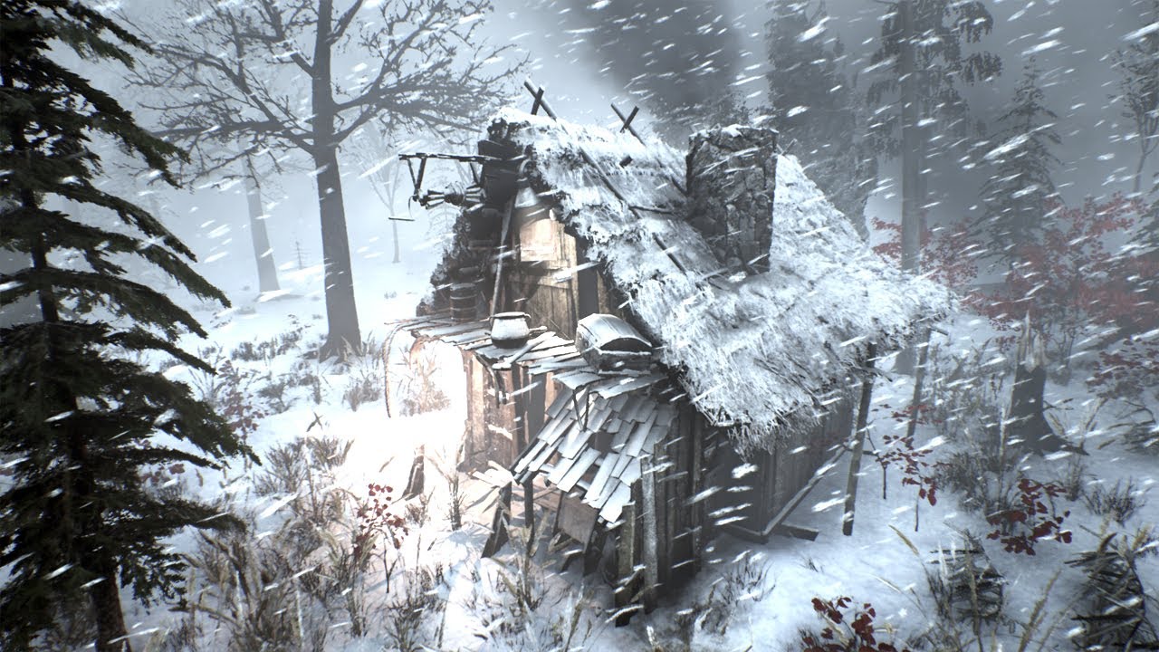 Snow storm sounds for sleeping - Cozy winter hut | Freezing winter sounds and blizzard sounds