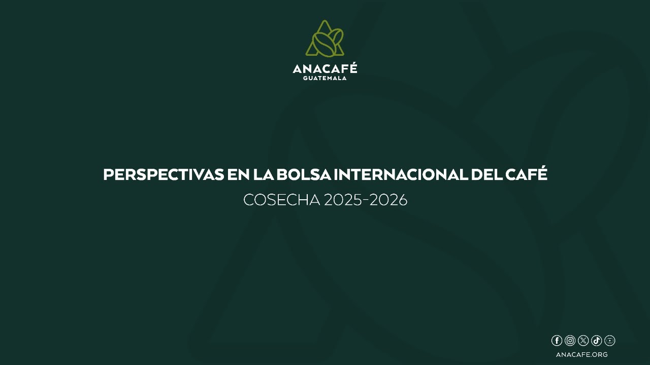 Seminario web | Perspectivas en la bolsa internacional del café cosecha 2025-2026