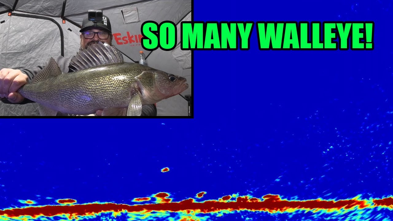 Ice Fishing Early Ice and Cooking Low Carb Walleye!