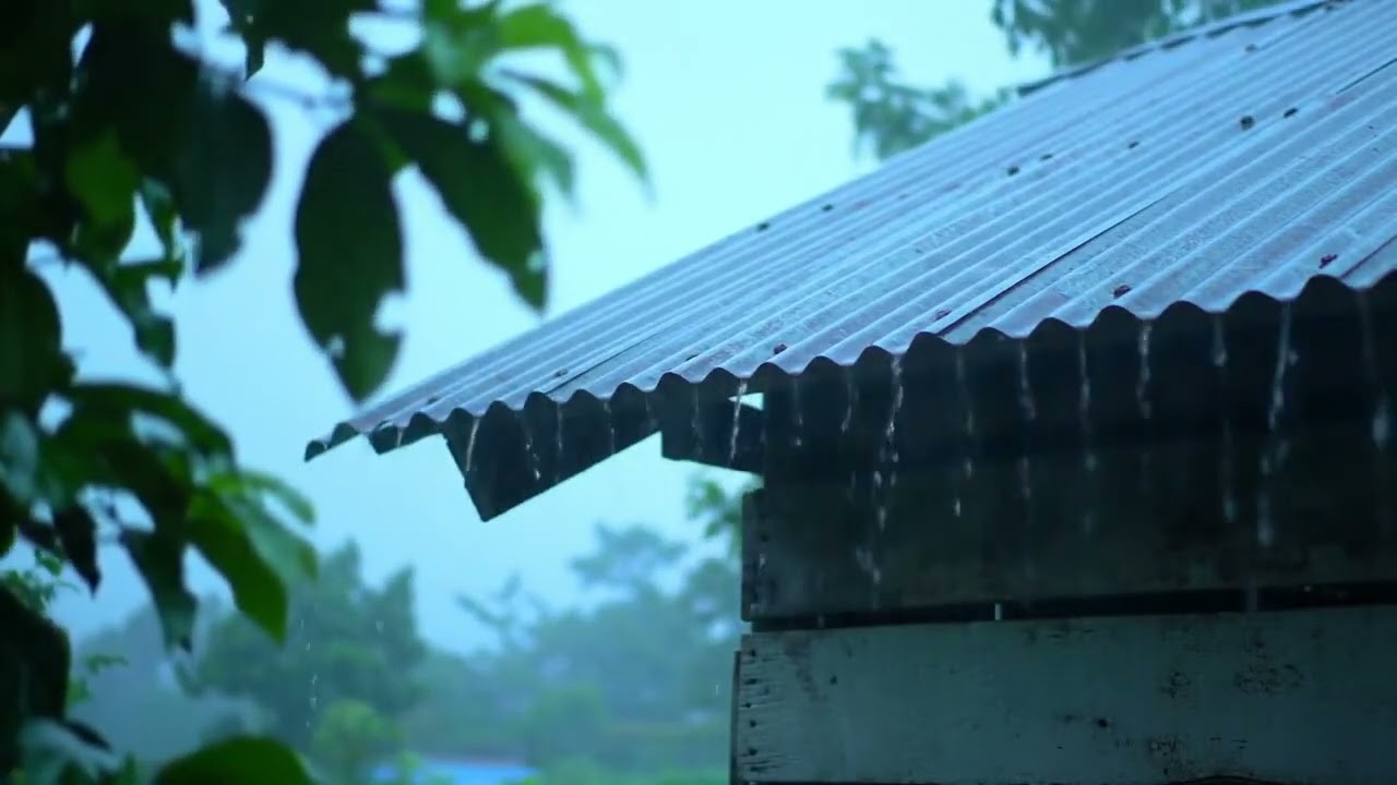 FAST RELIEF from Sleepless Nights Accompanied by Heavy Rain & Thunder Sounds for Deep, Restful Sleep
