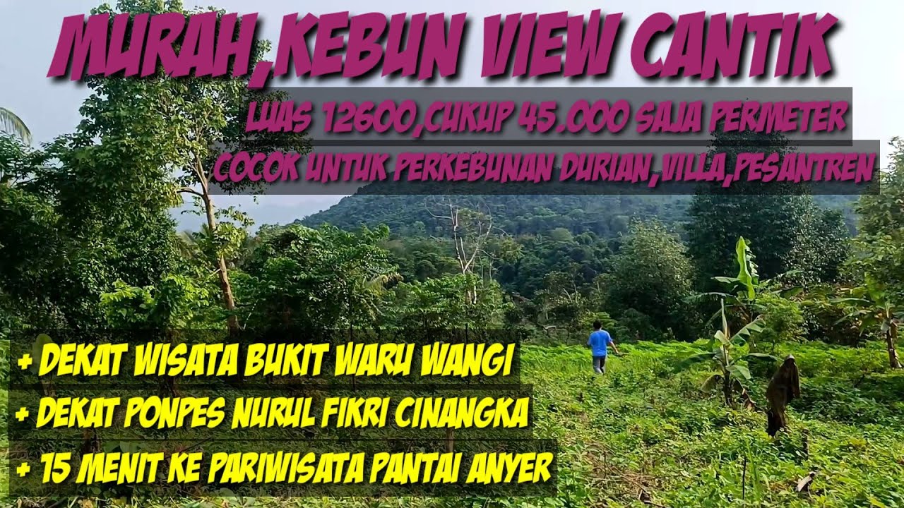 DIJUAL Kebun Luas 12600 M2, View Cantik, Cocok Di bikin Perkebunan Dan Villa, 45.000 PERMETER