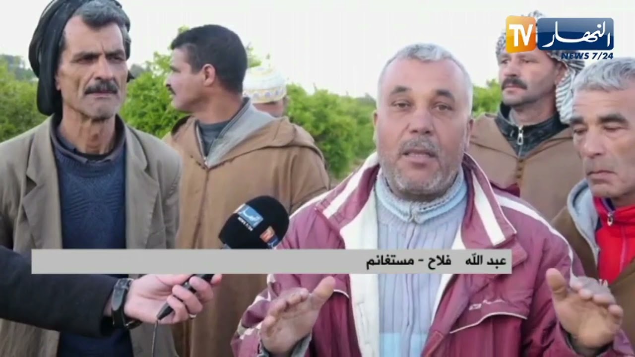مستغانم: فلاحو منطقة بوقيراط يطالبون بتوفير مياه السقي