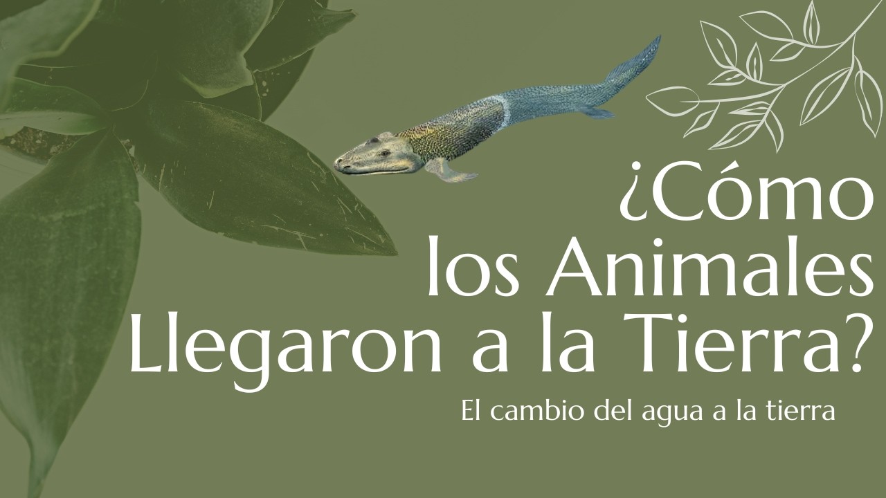 ¿Cómo los Animales Llegaron a la Tierra?