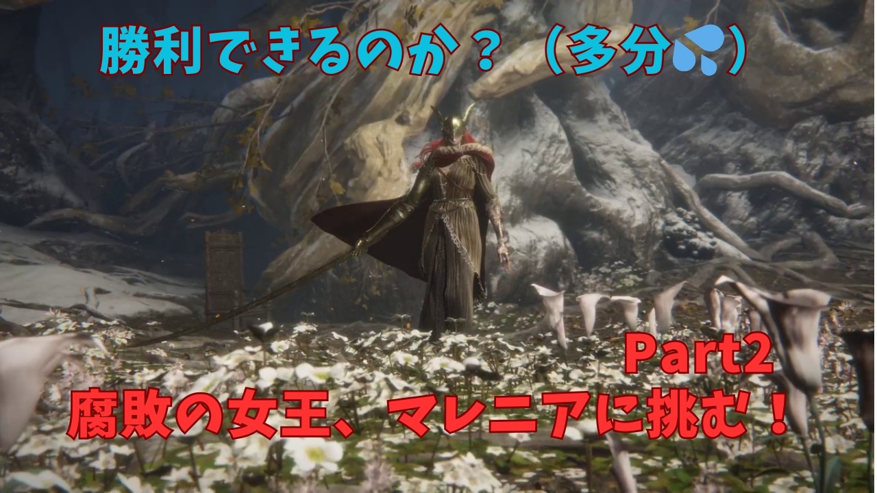 一からELDEN RING(PS5)　24