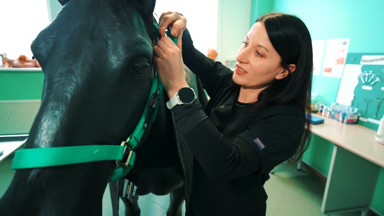 Izzini veterinārmedicīnu