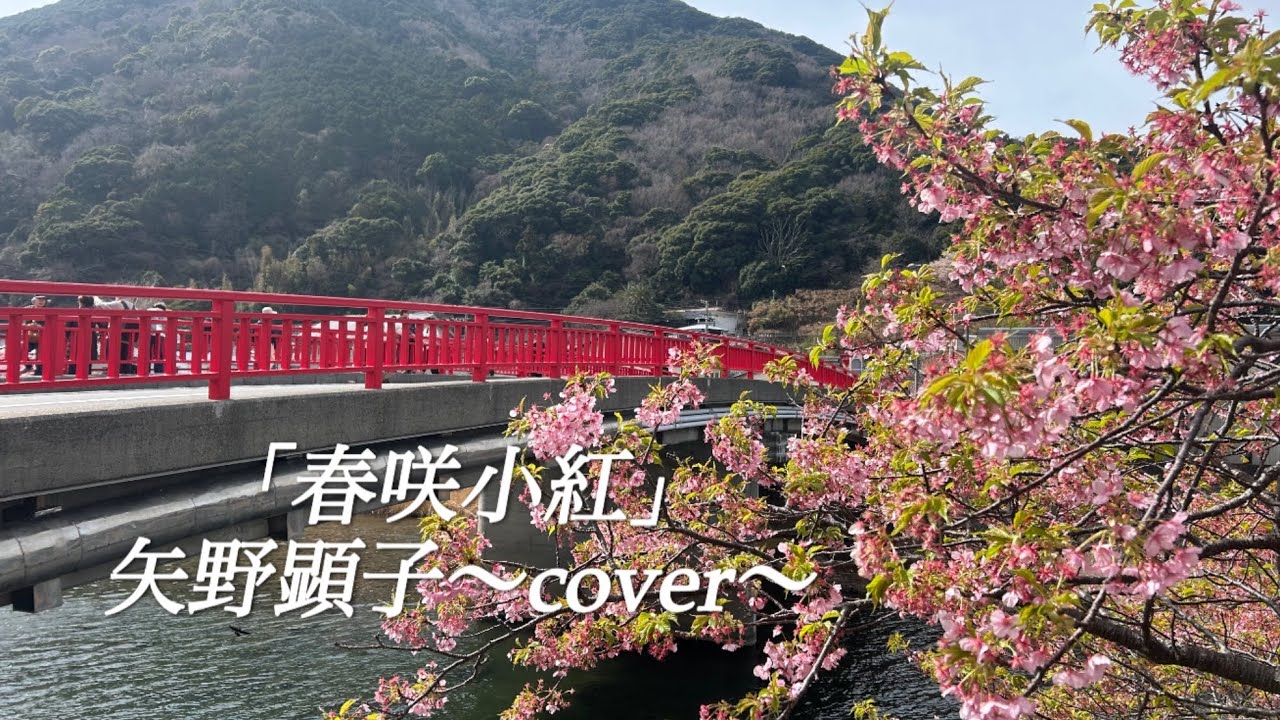 「春咲小紅」矢野顕子〜cover〜