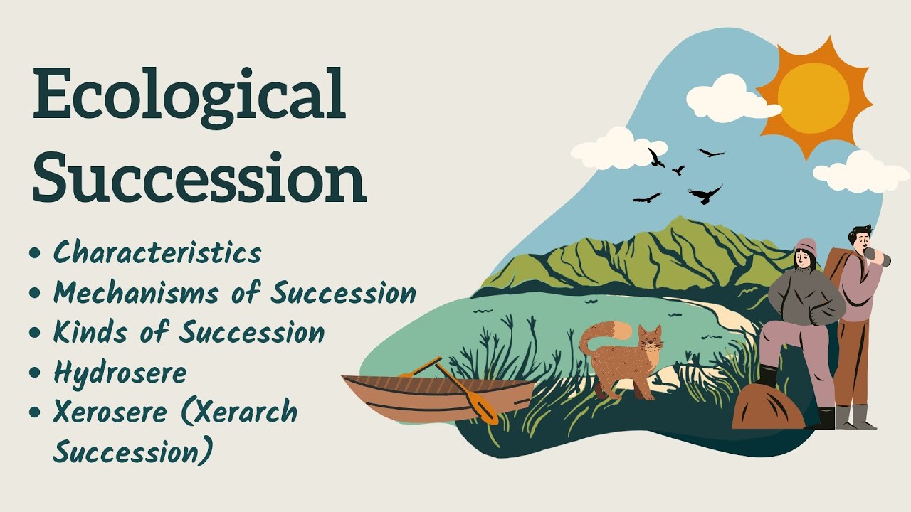 Ecological Succession (Part- 1) || Malayalam || Botany    #botanyclasses
