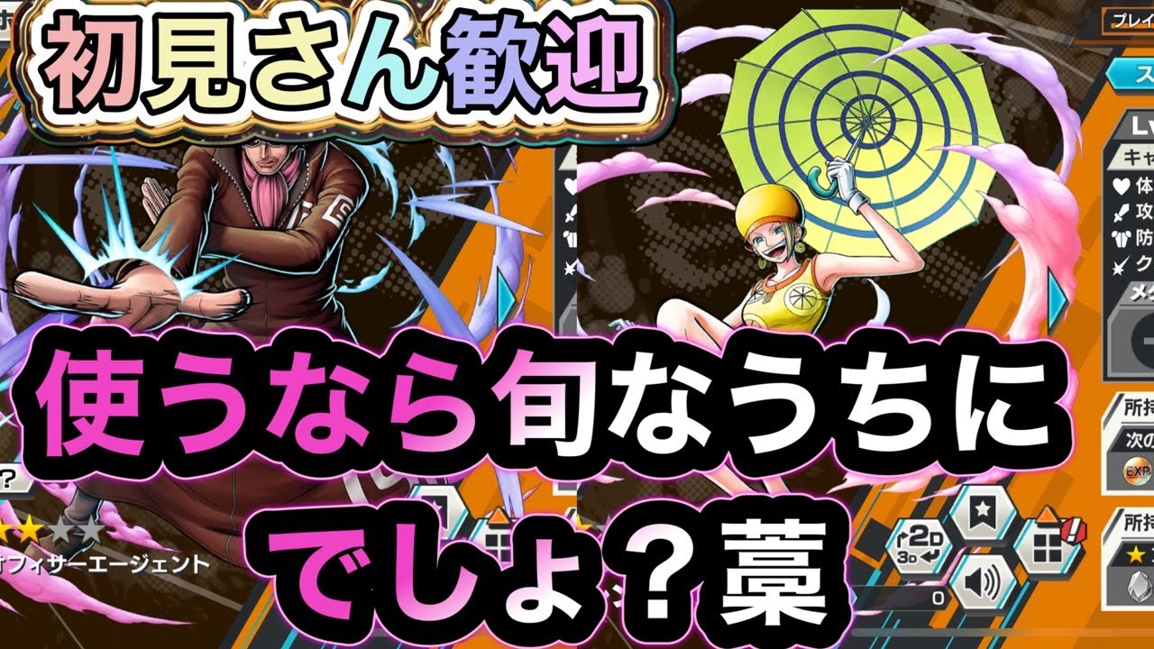 【バウンティラッシュ】新キャラ生配信　久々の恒常キャラ♪ 初見さん大歓迎✨✨🫶