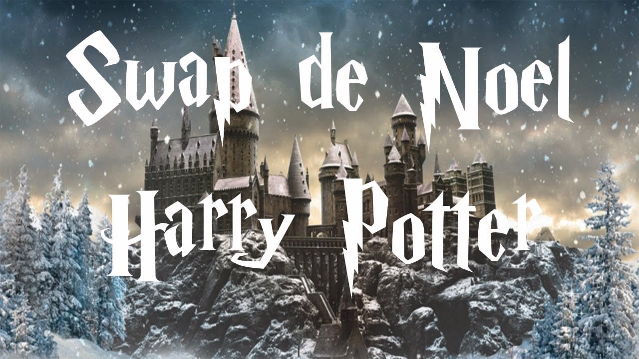 Swap de No&euml;l HARRY POTTER avec Sirius Patmol!